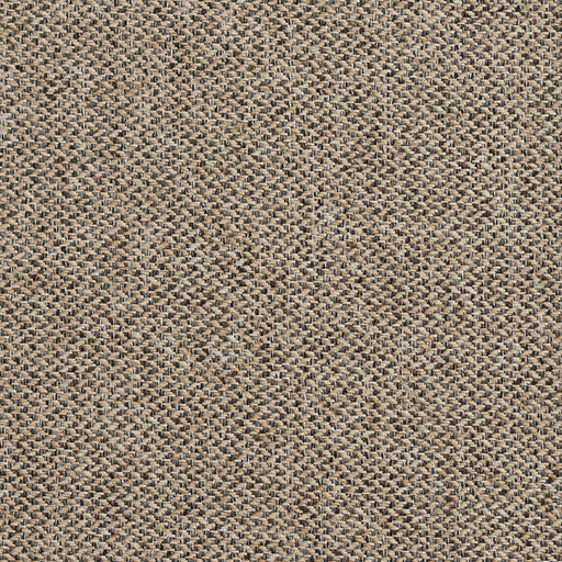 Charlotte - R251 - Lexington - Fabric by the Yard Lexington
