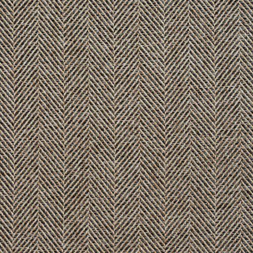 Charlotte - R252 - Fargo - Fabric by the Yard Fargo