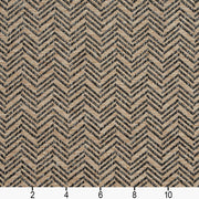 Charlotte - R254 - Duluth - Fabric by the Yard - R254 - R254_Ruler