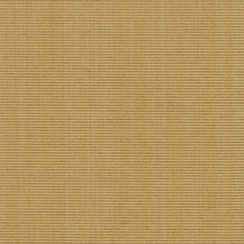 Charlotte - R263 - Wheat - Fabric by the Yard Wheat