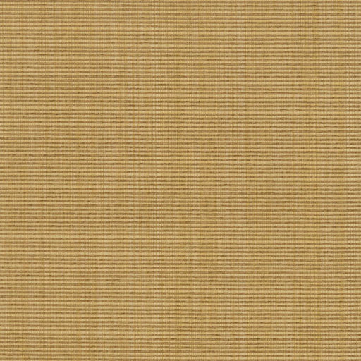 Charlotte - R263 - Wheat - Fabric by the Yard Wheat