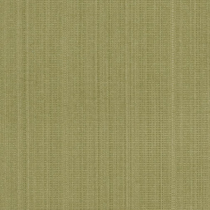 Charlotte - R264 - Sage - Fabric by the Yard Sage