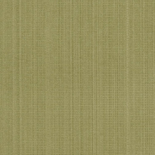 Charlotte - R264 - Sage - Fabric by the Yard Sage