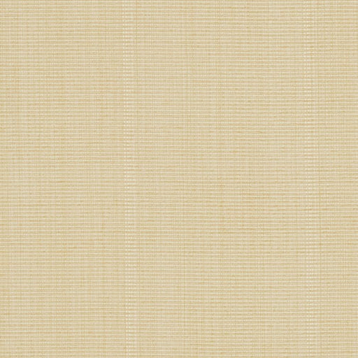 Charlotte - R265 - Cream - Fabric by the Yard Cream