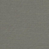 Charlotte - R280 - Iron - Fabric by the Yard