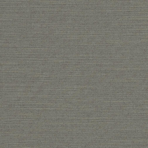 Charlotte - R280 - Iron - Fabric by the Yard Iron
