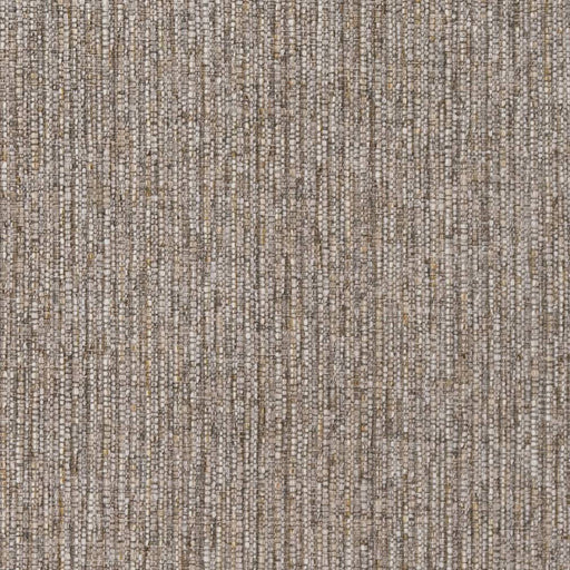 Charlotte - R351 - Sage - Fabric by the Yard Sage