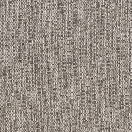 Charlotte - R352 - Pecan - Fabric by the Yard Pecan