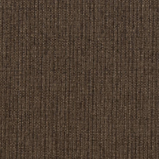 Charlotte - R355 - Carbon - Fabric by the Yard Carbon