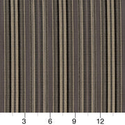 Charlotte - R365 - Pewter Stripe - Fabric by the Yard - R365 - R365_Ruler
