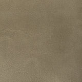 KRAVET CONTRACT - RAMBLER- ANTLER - Fabric by the Yard