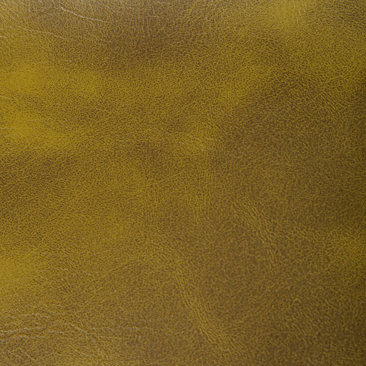 KRAVET CONTRACT - RAMBLER- CACTUS - Fabric by the Yard CACTUS