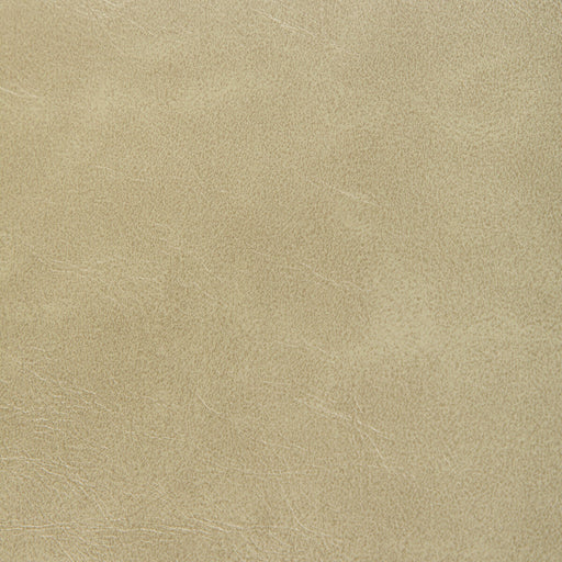 KRAVET CONTRACT - RAMBLER- PRAIRIE - Fabric by the Yard PRAIRIE
