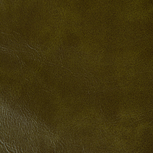 KRAVET CONTRACT - RAMBLER- OLIVE BRANCH - Fabric by the Yard OLIVE BRANCH