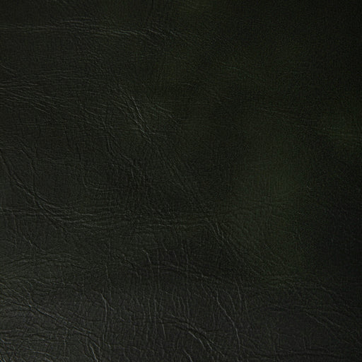 KRAVET CONTRACT - RAMBLER- FOREST - Fabric by the Yard FOREST