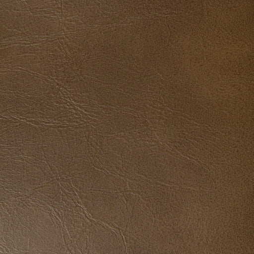 KRAVET CONTRACT - RAMBLER- CHICORY - Fabric by the Yard CHICORY