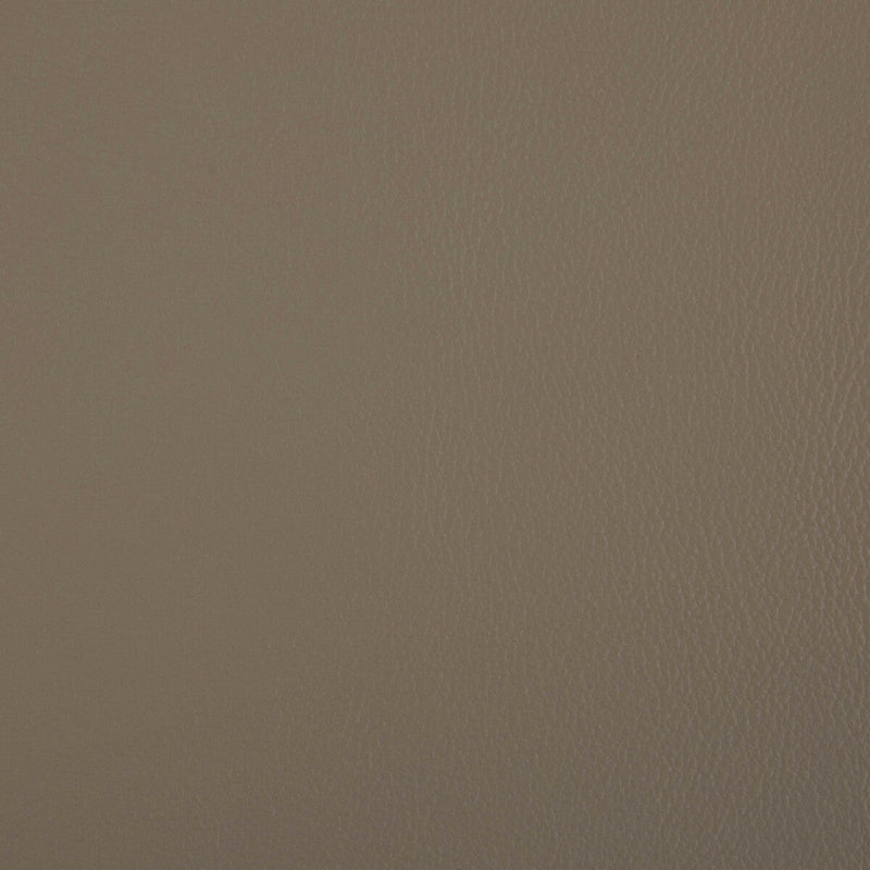 KRAVET CONTRACT - RAND- DUNE - Fabric by the Yard DUNE