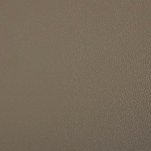 KRAVET CONTRACT - RAND- DUNE - Fabric by the Yard DUNE