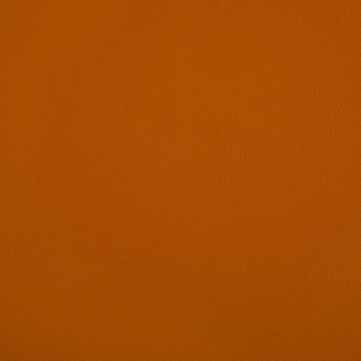 KRAVET CONTRACT - RAND- SQUASH - Fabric by the Yard SQUASH