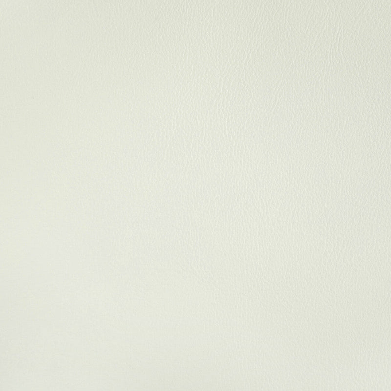KRAVET CONTRACT - RAND- GESSO - Fabric by the Yard GESSO
