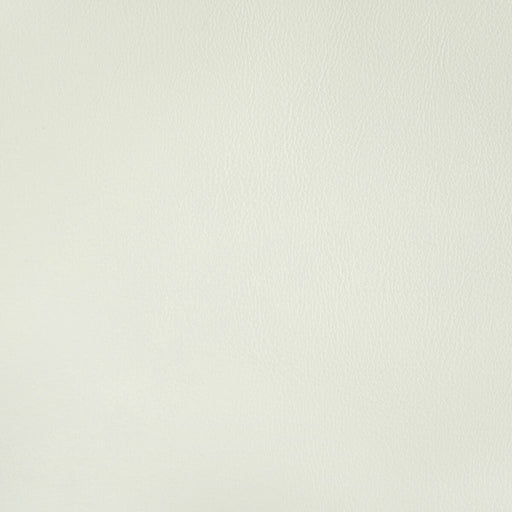 KRAVET CONTRACT - RAND- GESSO - Fabric by the Yard GESSO