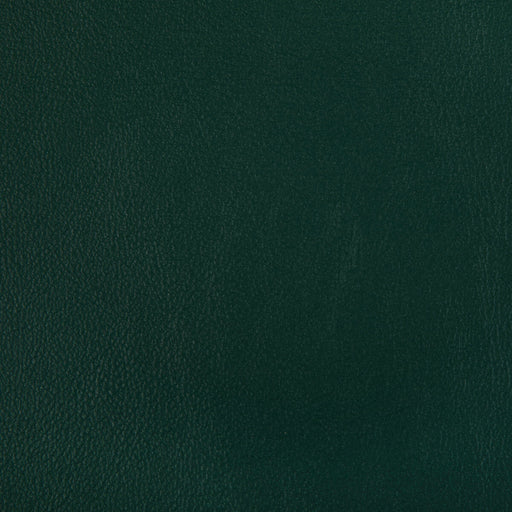 KRAVET CONTRACT - RAND- FOREST - Fabric by the Yard FOREST