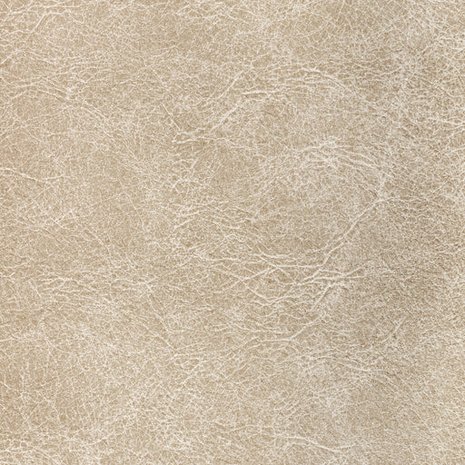KRAVET CONTRACT - REBOOT- FOSSIL - Fabric by the Yard FOSSIL