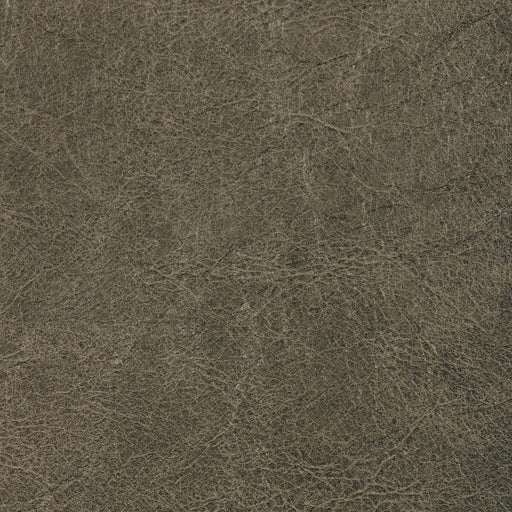 KRAVET CONTRACT - REBOOT- IRON - Fabric by the Yard IRON