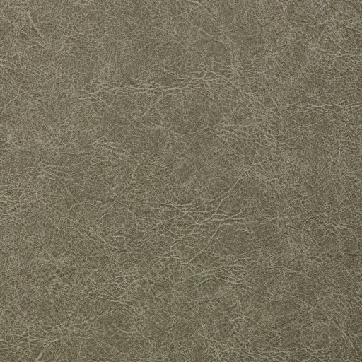 KRAVET CONTRACT - REBOOT- CROCODILE - Fabric by the Yard CROCODILE