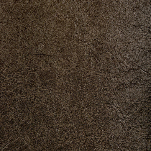 KRAVET CONTRACT - REBOOT- WALNUT - Fabric by the Yard WALNUT