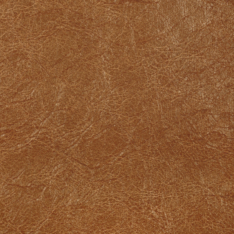 KRAVET CONTRACT - REBOOT- BUCK - Fabric by the Yard BUCK