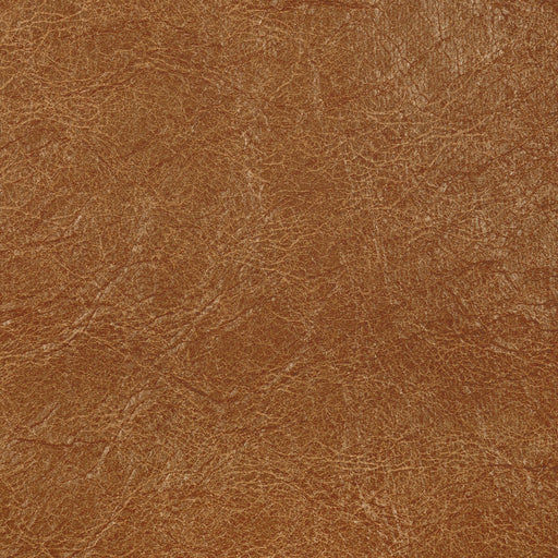 KRAVET CONTRACT - REBOOT- BUCK - Fabric by the Yard BUCK