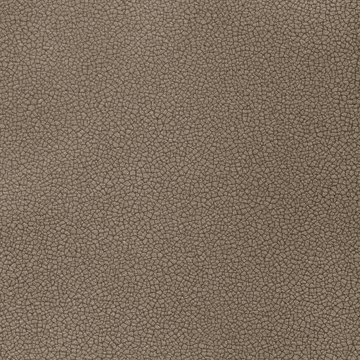 KRAVET CONTRACT - RESET- SHADOW - Fabric by the Yard SHADOW