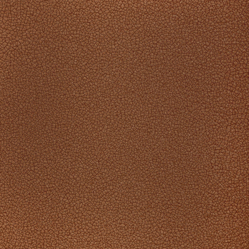 KRAVET CONTRACT - RESET- NUTMEG - Fabric by the Yard NUTMEG