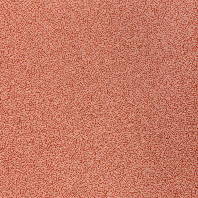 KRAVET CONTRACT - RESET- DOGWOOD - Fabric by the Yard DOGWOOD