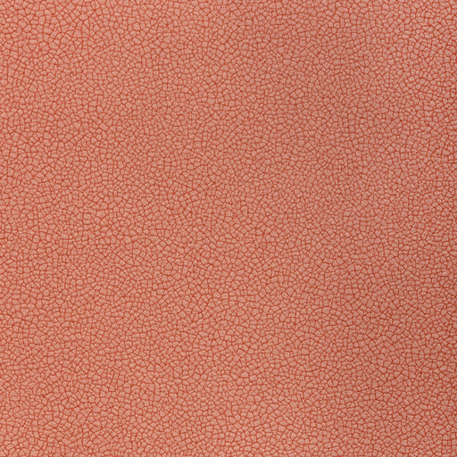 KRAVET CONTRACT - RESET- DOGWOOD - Fabric by the Yard DOGWOOD