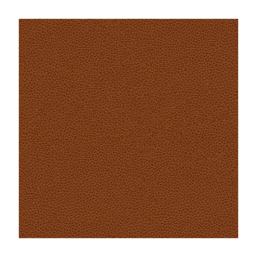 KRAVET DESIGN - KRAVET DESIGN- RIGEL-24 - Fabric by the Yard RIGEL-24