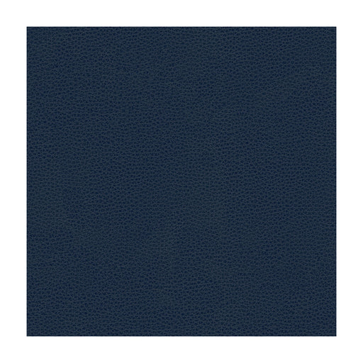 KRAVET DESIGN - RIGEL - Fabric By the Yard