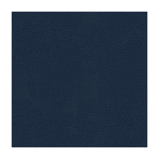 KRAVET DESIGN - KRAVET DESIGN- RIGEL-5 - Fabric by the Yard RIGEL-5