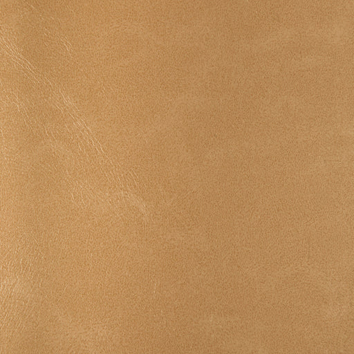 KRAVET DESIGN - KRAVET DESIGN- RIND-116 - Fabric by the Yard RIND-116