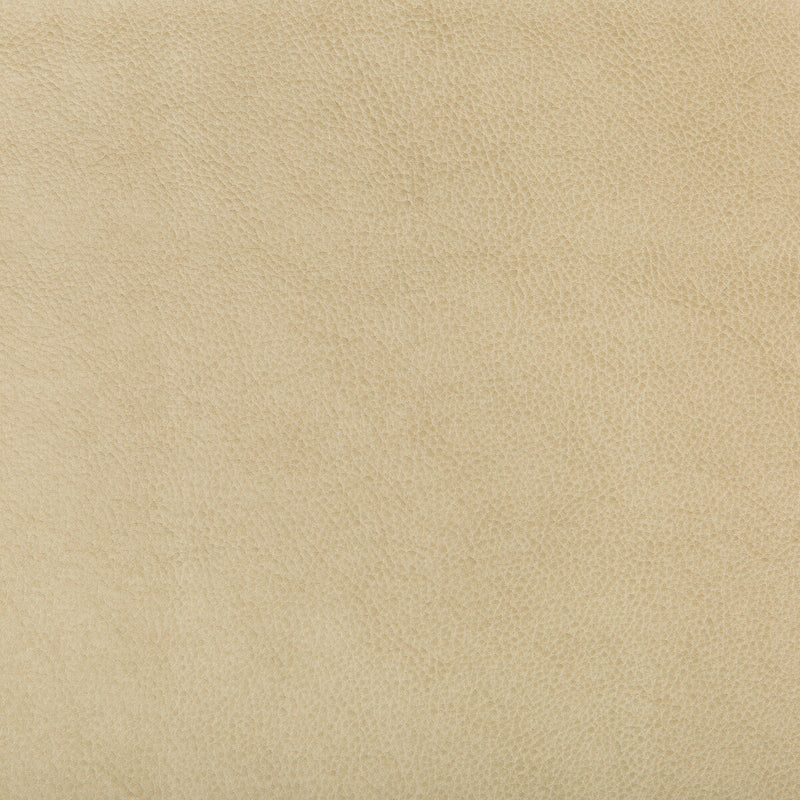 KRAVET DESIGN - KRAVET DESIGN- RUFFIAN-16 - Fabric by the Yard RUFFIAN-16