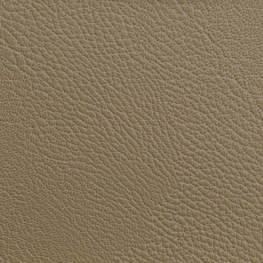 KRAVET CONTRACT - RUSTLER- CASHEW - Fabric by the Yard CASHEW