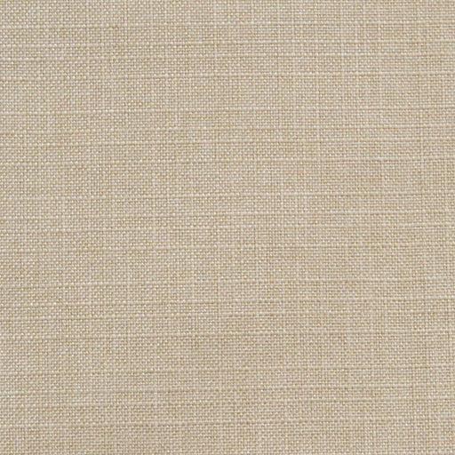 RUZGAR BEIGE