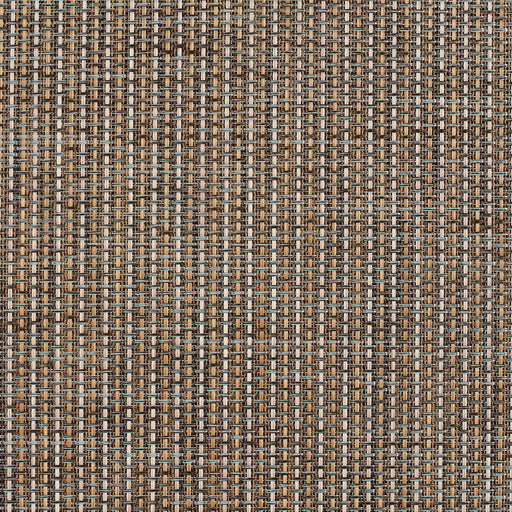Charlotte - S127 - Willow - Fabric by the Yard Willow