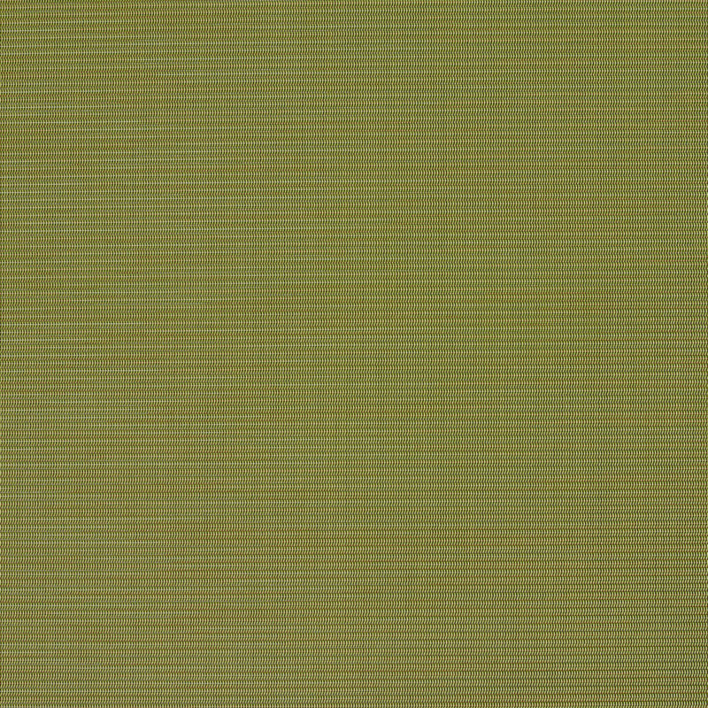 Charlotte - S134 - Spring - Fabric by the Yard Spring