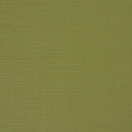 Charlotte - S134 - Spring - Fabric by the Yard Spring
