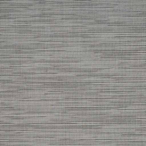 Charlotte - S310 - Silver - Fabric by the Yard Silver