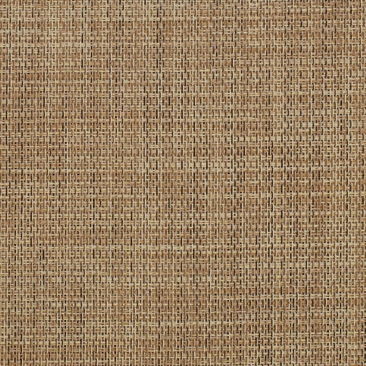 Charlotte - S320 - Almond - Fabric by the Yard Almond