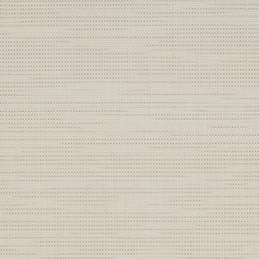 Charlotte - S324 - Putty - Fabric by the Yard Putty