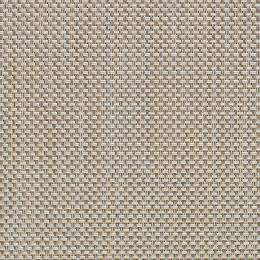 Charlotte - S326 - Dove - Fabric by the Yard Dove